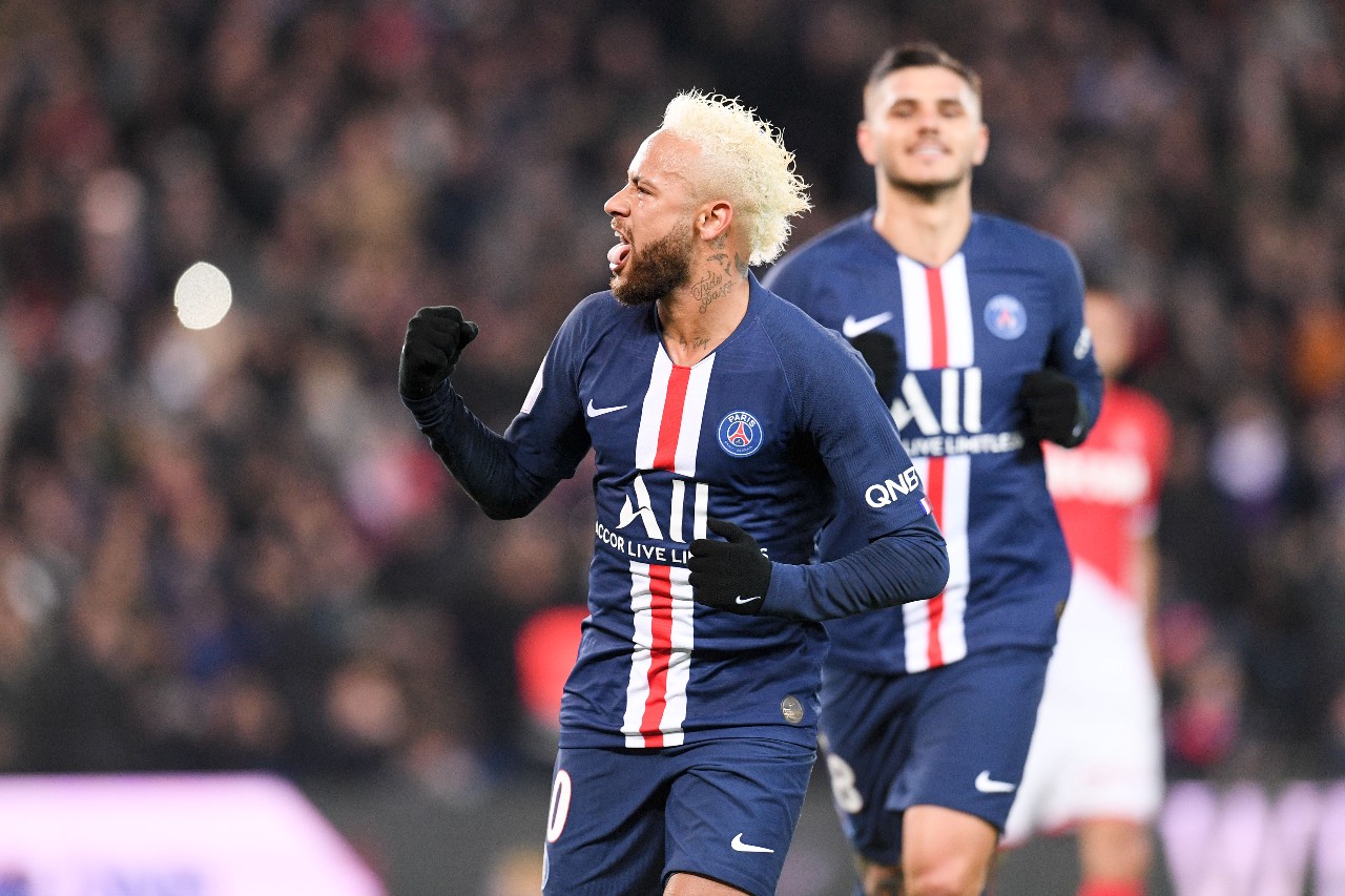 北美都有庞 北美都有庞