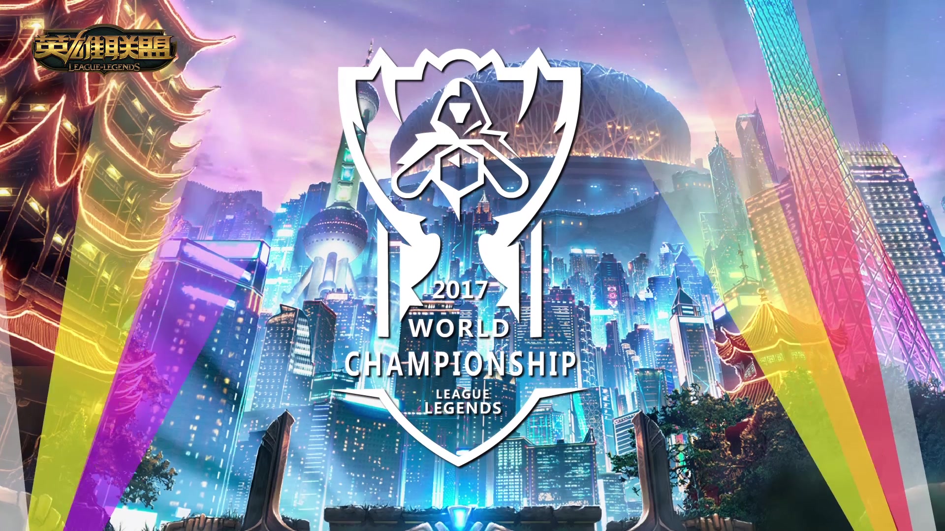 迷關注的焦 迷關注的焦